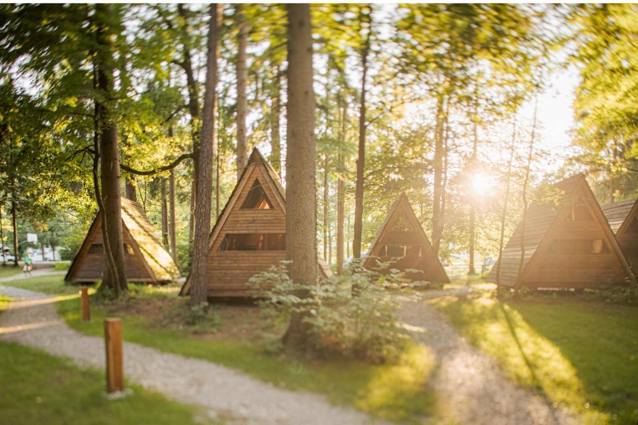 Forest Camping Мозирє Екстер'єр фото