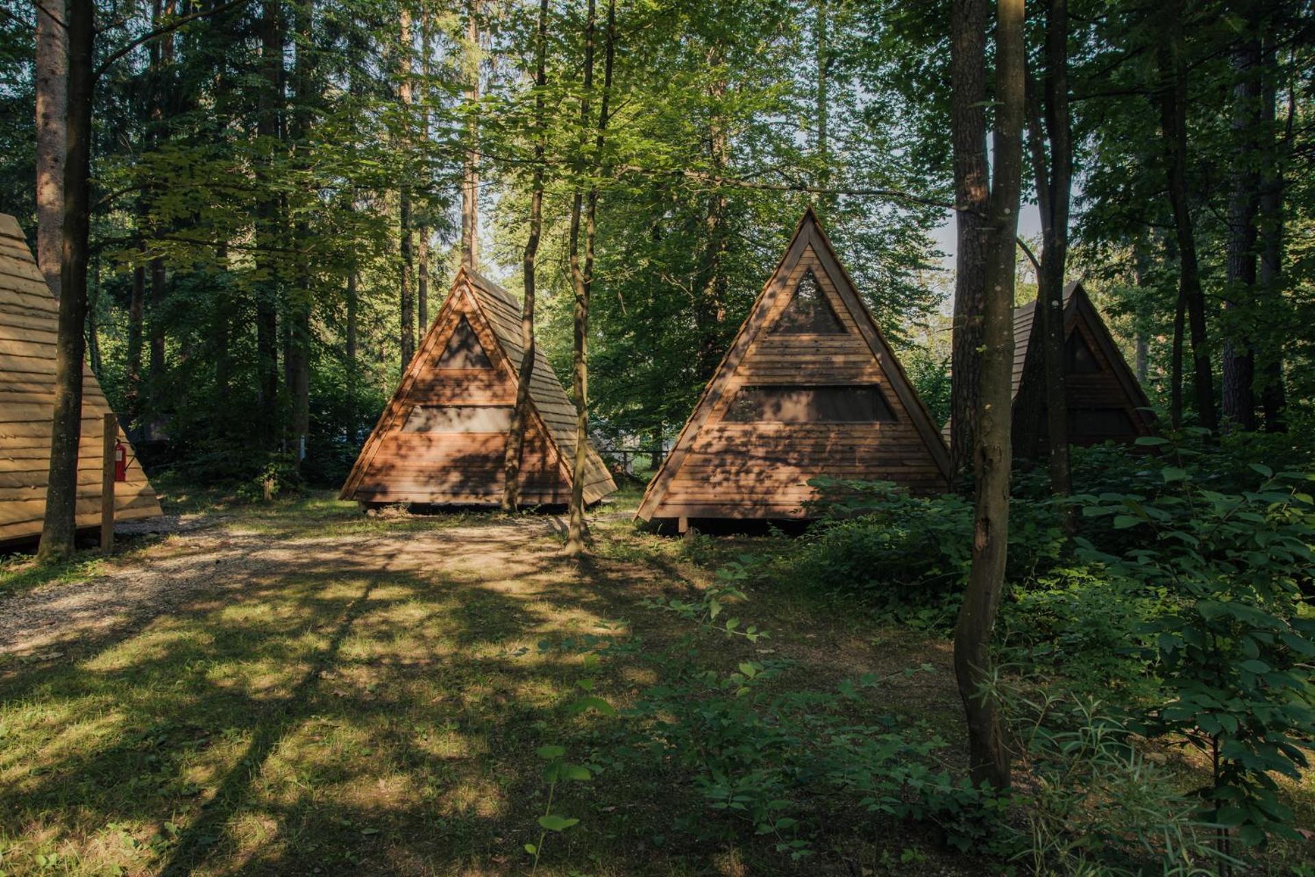 Forest Camping Мозирє Номер фото