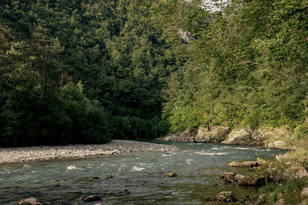 Forest Camping Мозирє Екстер'єр фото